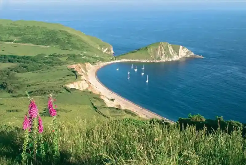 The ramparts of Flower's Barrow Iron Age hillfort on the cliff edge above Worbarrow Bay
