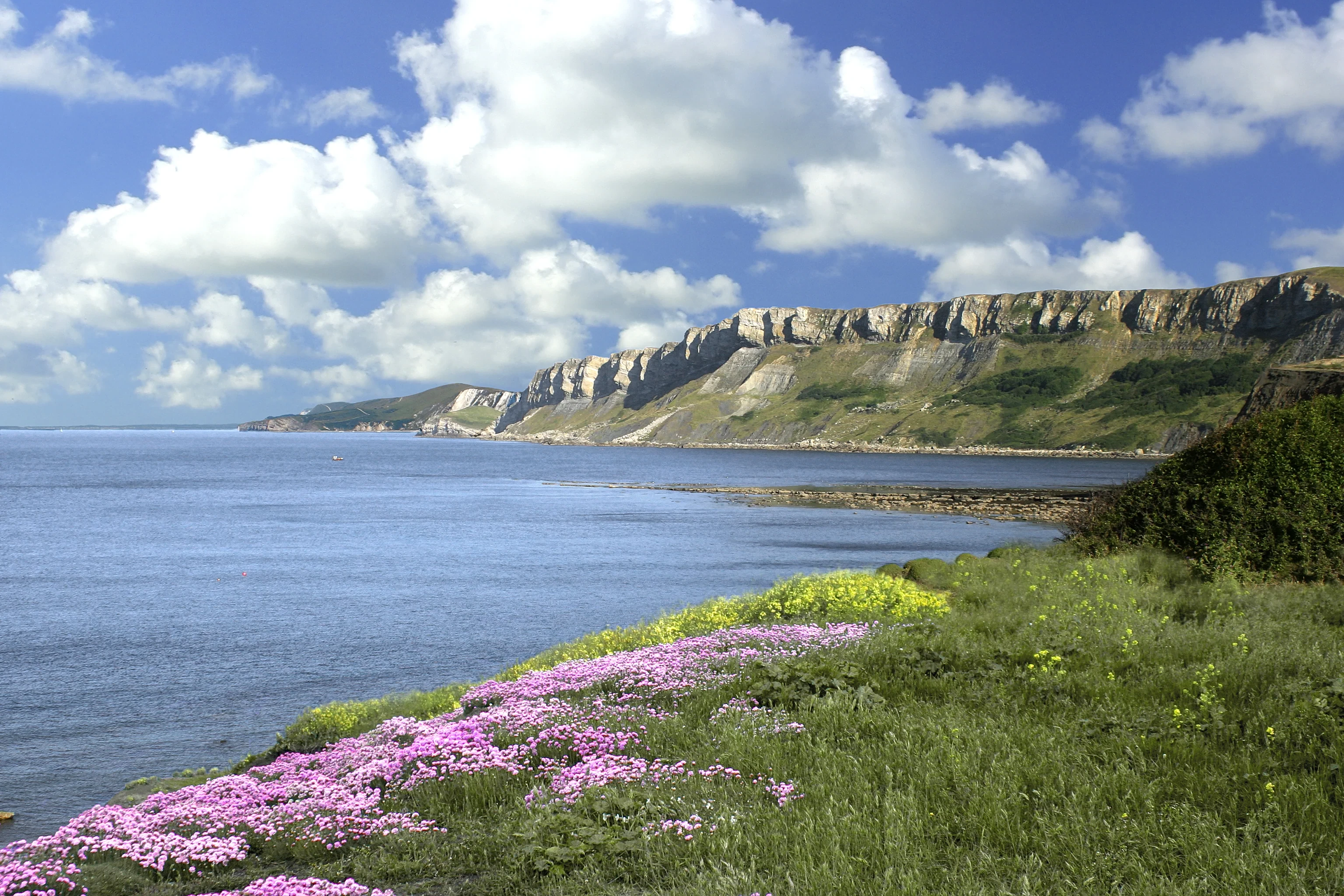 View west from Kimmeridge towards Gad Cliff and the Lulworth ranges