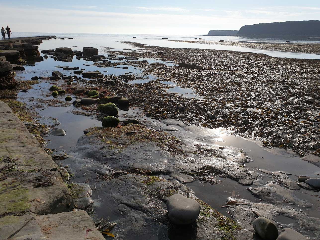 Kimmeridge Bay view
