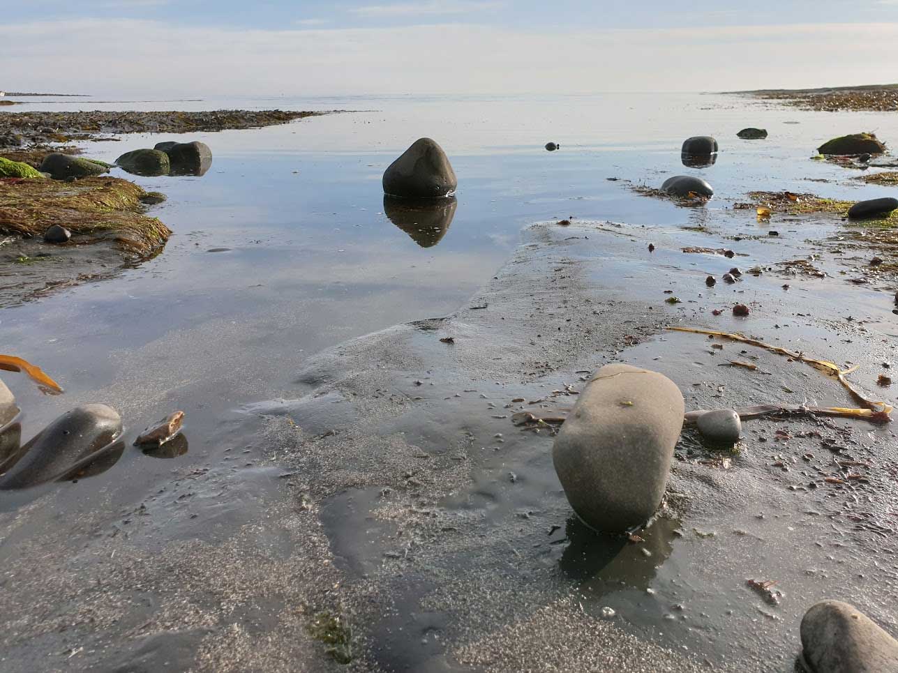 Rock pools at low tide in Kimmeridge Bay