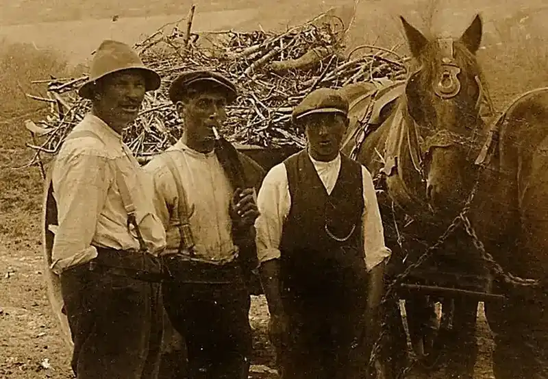 Percy Holland with farm horses at Tyneham Farm