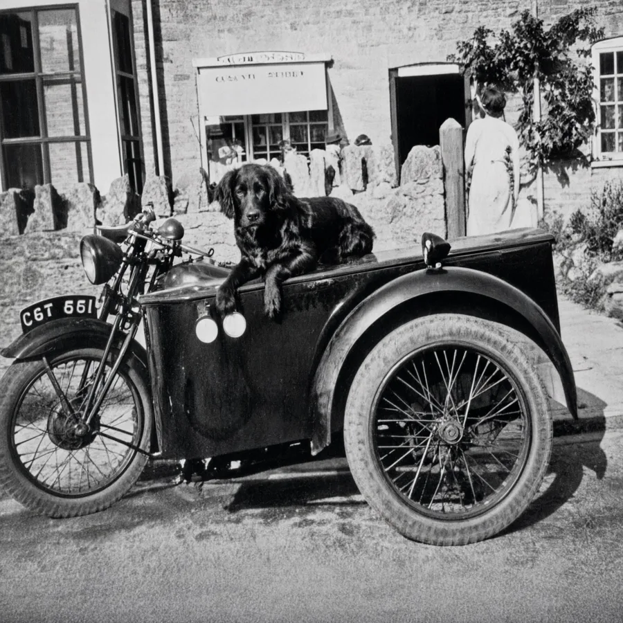The postman's motorcycle and sidecar at Tyneham, with his dog Rex