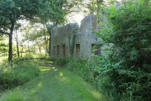 Tyneham today