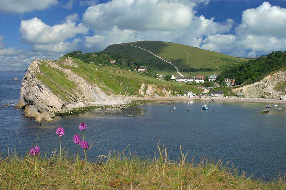 View of Lulworth Cove in the summer